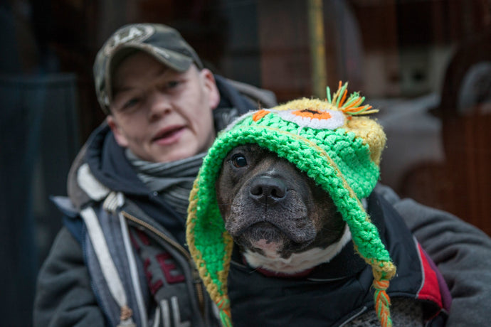 Street pups: how Britain’s homeless dogs are helping the most vulnerable people