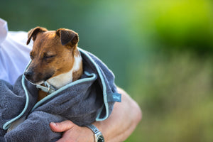 Henry Wag Microfibre Towel