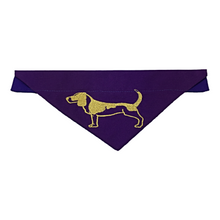 Bertie & Bella's Bandana - Various Colours