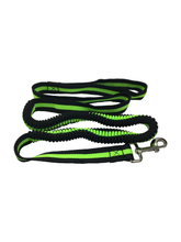 Dog Lead Bungee Stretch