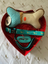 Doggy Gift Set