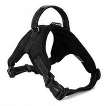 Dog Harness M/L Dogs