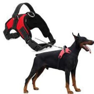 Dog Harness M/L Dogs