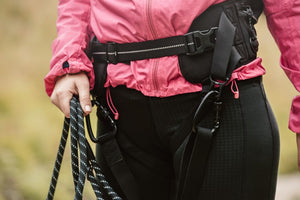 dog walking belt