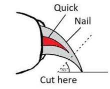 Deluxe Nail Clippers