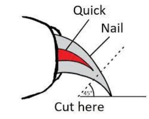 Deluxe Nail Clippers