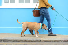 Bertie & Bella's Double Handle Dog Lead